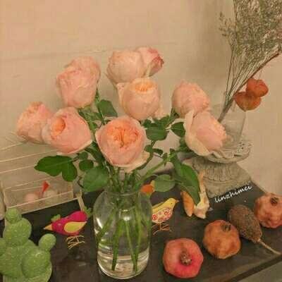 九州官网十年信誉玩家首选手机app下载