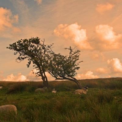 万博max体育注册截图