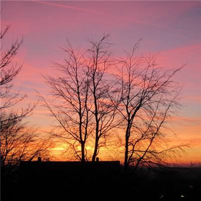 bsport体育在线登录